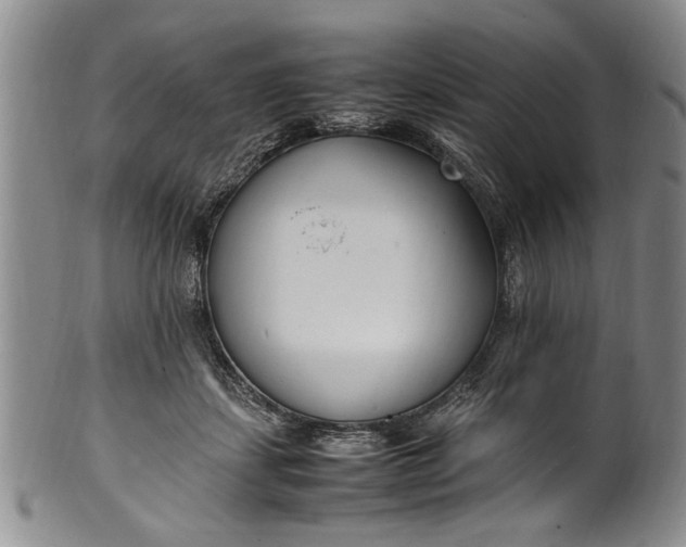 X0000102250459200808081414