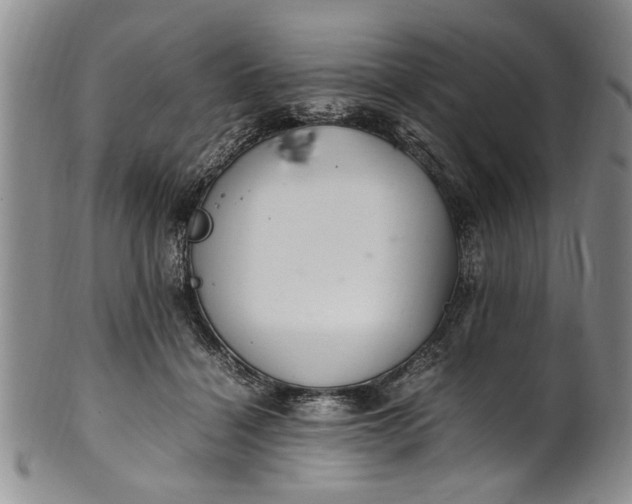 X0000102250460200808081414