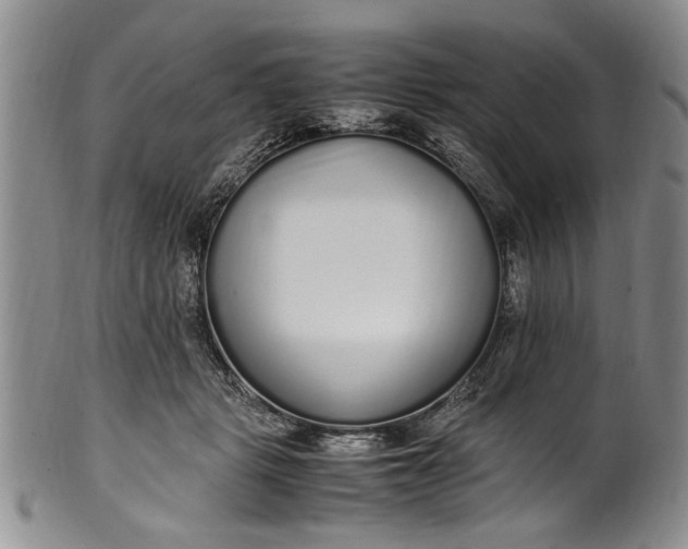 X0000102250461200808081414