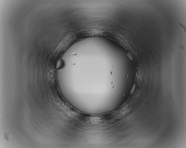 X0000102250462200808081414