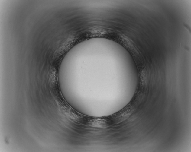 X0000102250463200808081414