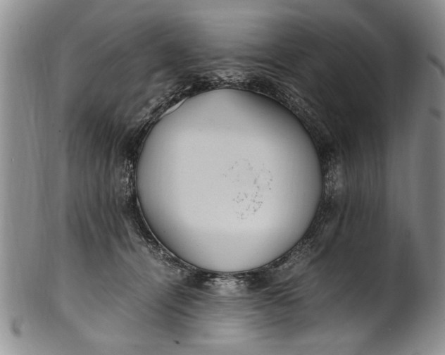 X0000102250464200808081414