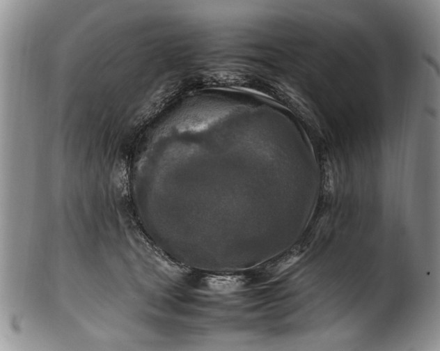 X0000102250465200808081414