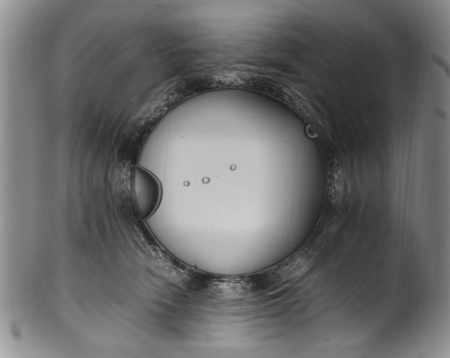 X0000102250466200808081414