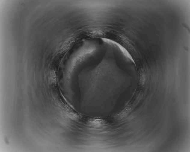 X0000102250467200808081414