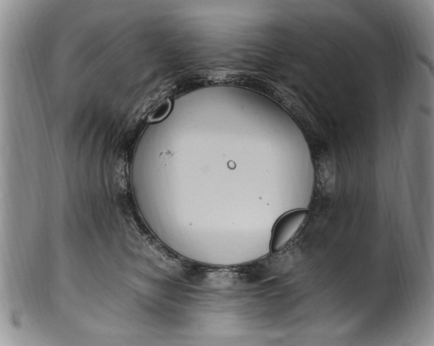 X0000102250470200808081415