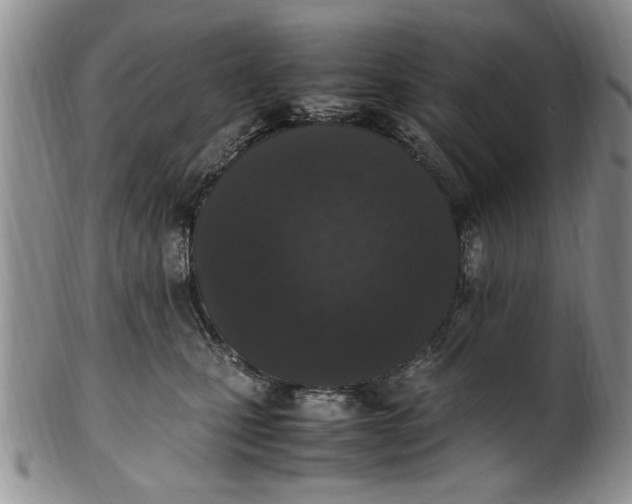 X0000102250471200808081415