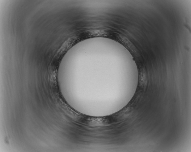 X0000102250473200808081415