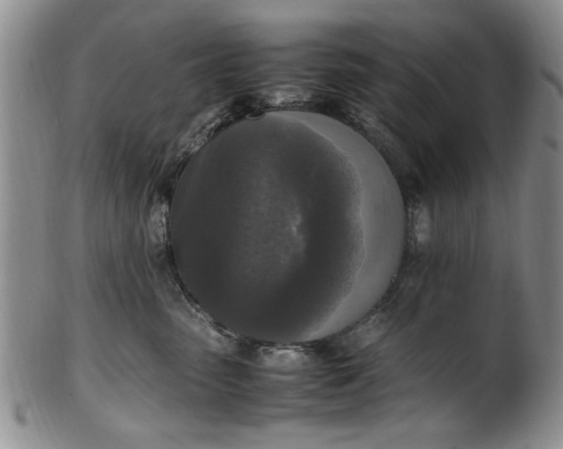 X0000102250475200808081415