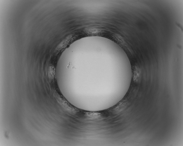 X0000102250476200808081415