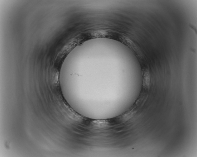 X0000102250477200808081415