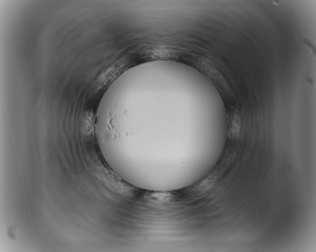 X0000102250478200808081415