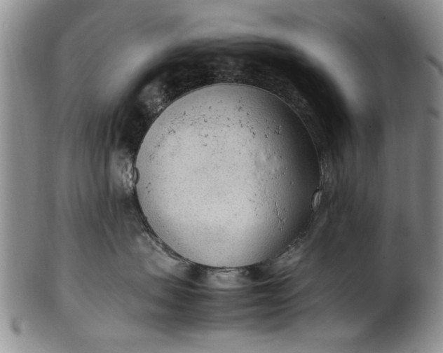 X0000102250479200808081415