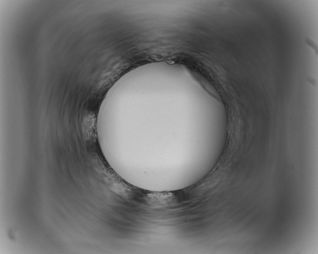 X0000102250480200808081415