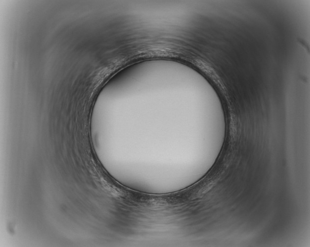 X0000102250481200808081414