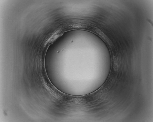 X0000102250482200808081414