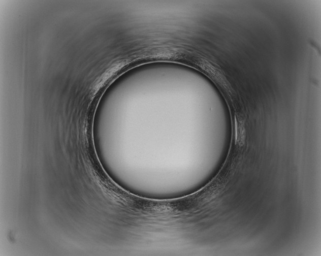 X0000102250483200808081414