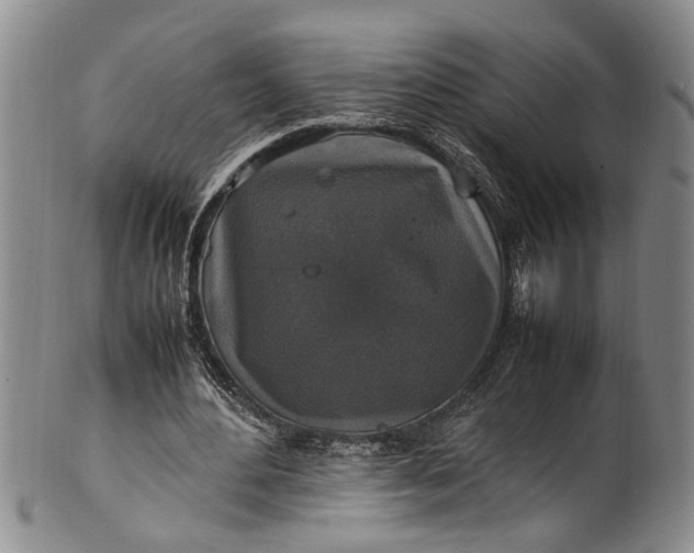 X0000102250484200808081414