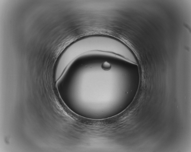 X0000102250485200808081414