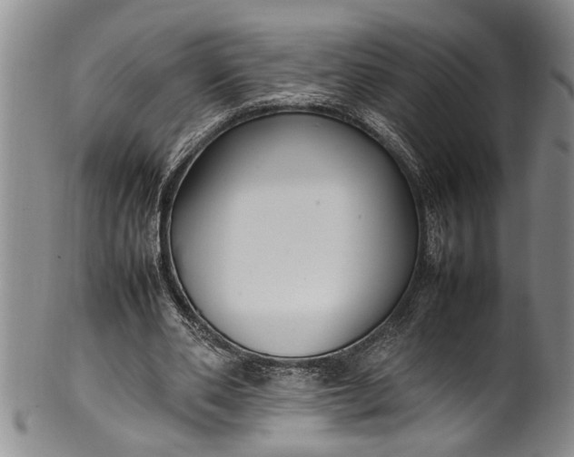 X0000102250486200808081414