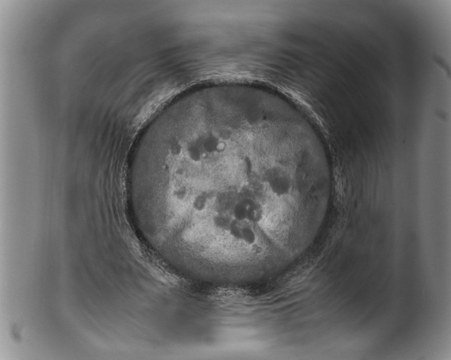 X0000102250487200808081414