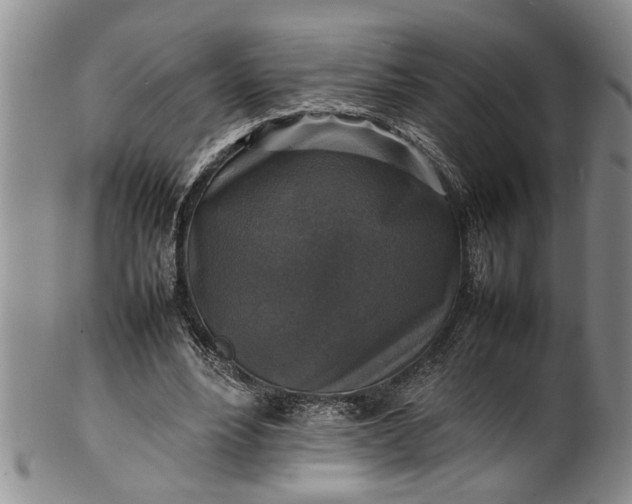 X0000102250488200808081414