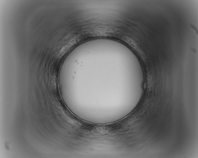 X0000102250489200808081414