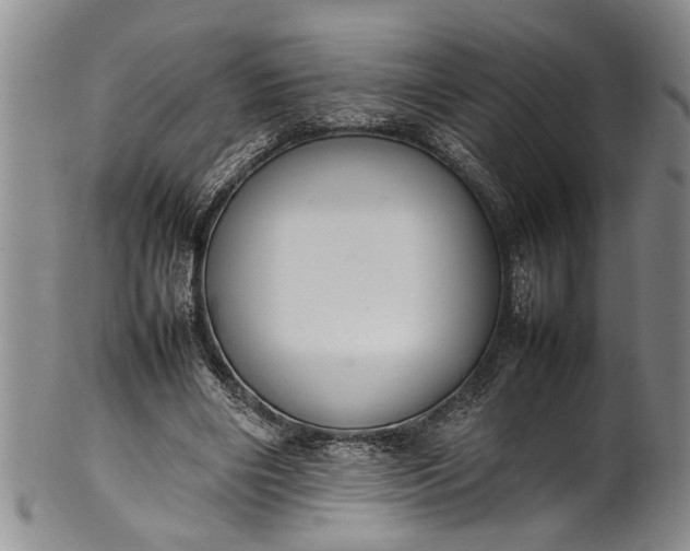 X0000102250490200808081414