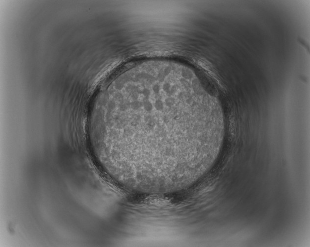 X0000102250491200808081414