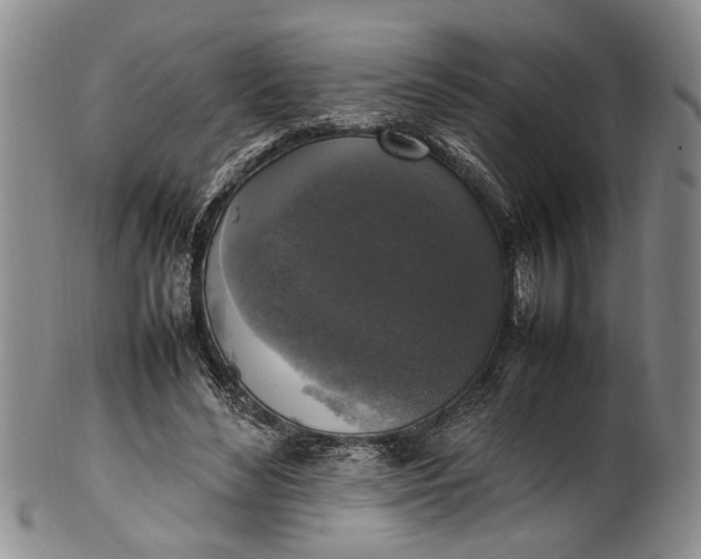 X0000102250492200808081414