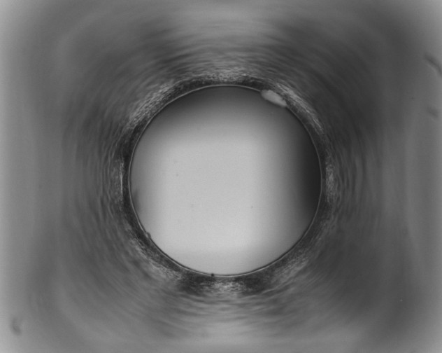 X0000102250493200808081414