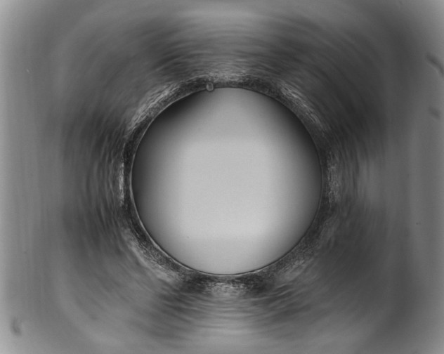 X0000102250494200808081414