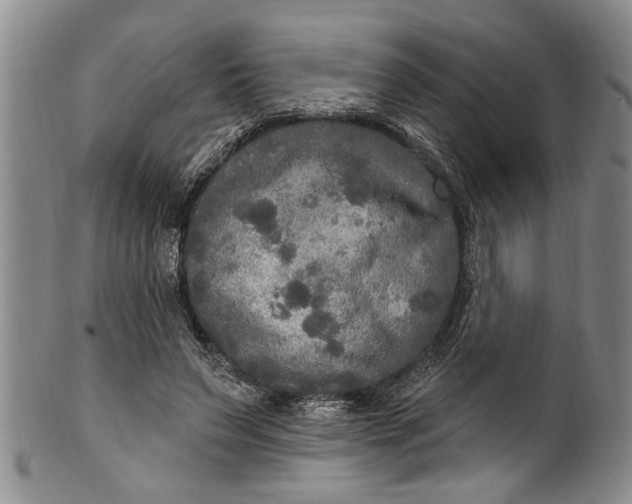 X0000102250495200808081414