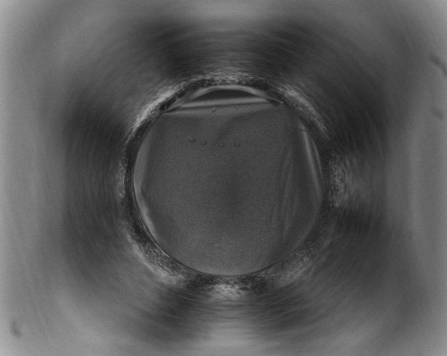 X0000102250496200808081414