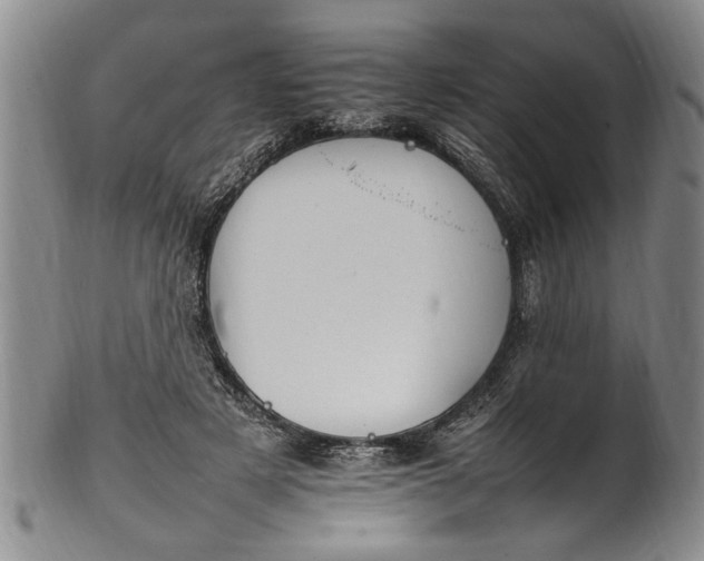 X0000102250497200808081414