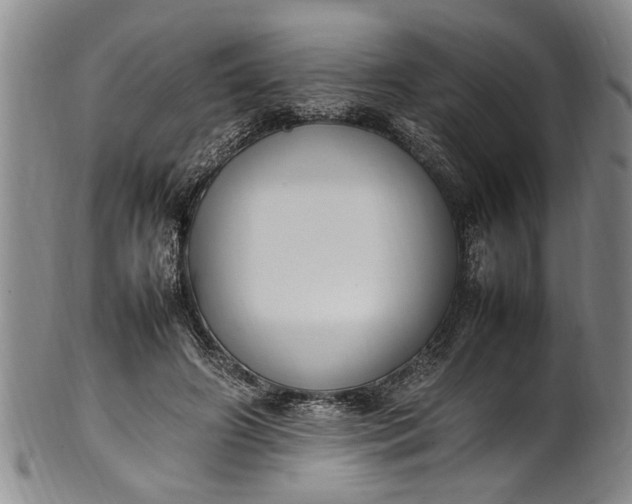 X0000102250498200808081414