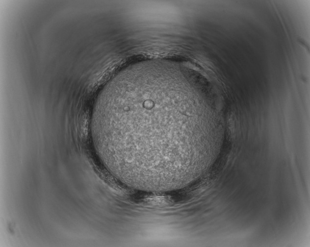 X0000102250499200808081414