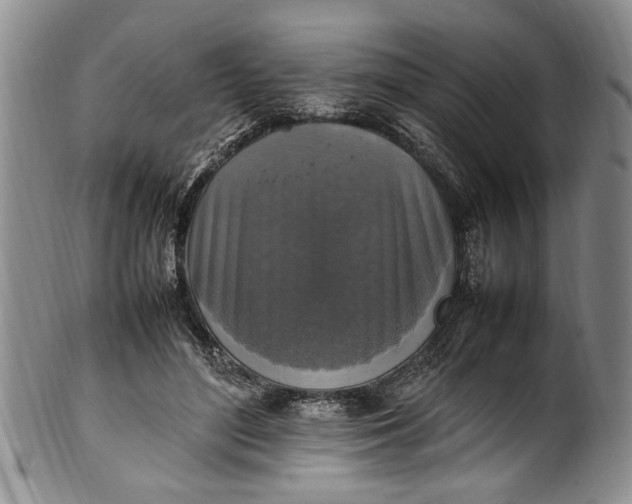 X0000102250500200808081414