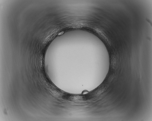 X0000102250501200808081414