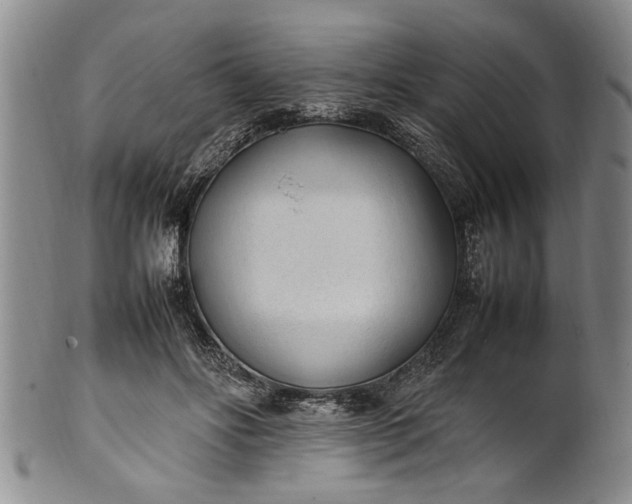 X0000102250502200808081414