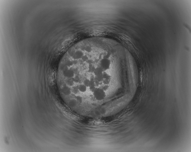 X0000102250503200808081414