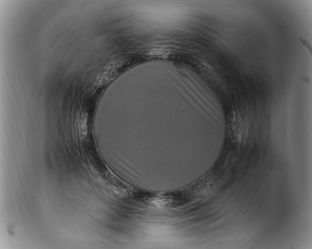 X0000102250504200808081414