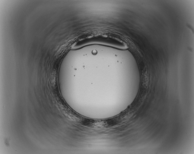 X0000102250505200808081414