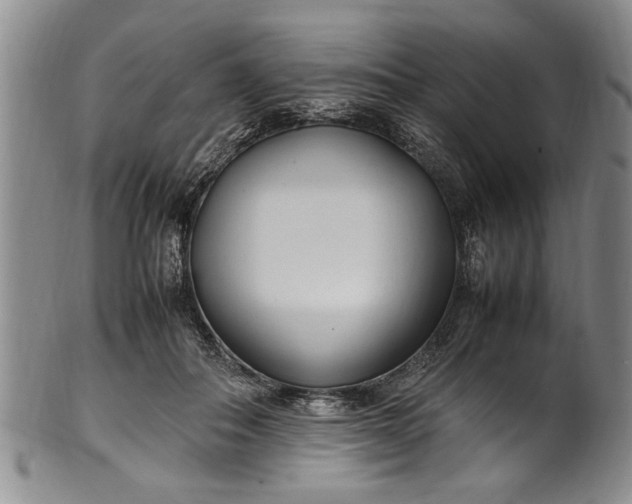 X0000102250506200808081414