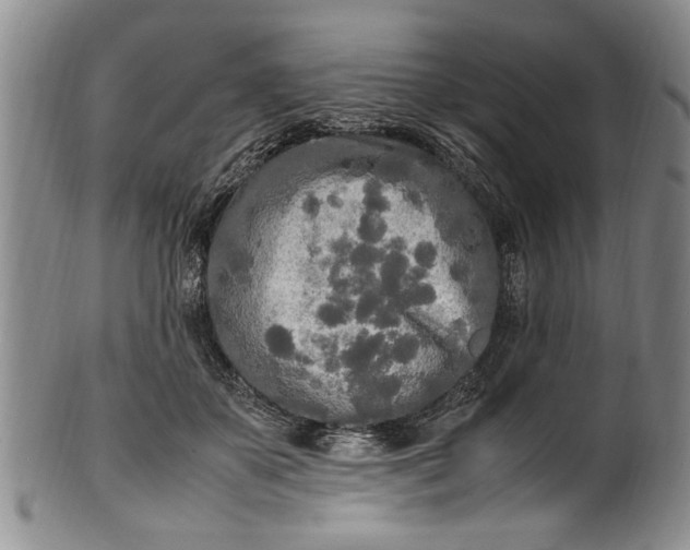 X0000102250507200808081414