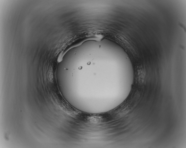 X0000102250508200808081414