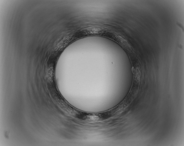 X0000102250509200808081414