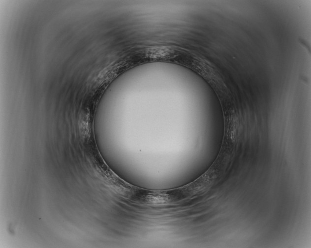 X0000102250510200808081414