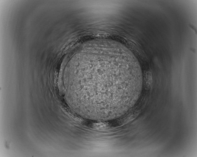 X0000102250511200808081414