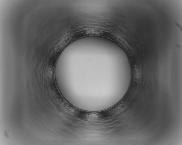 X0000102250513200808081414